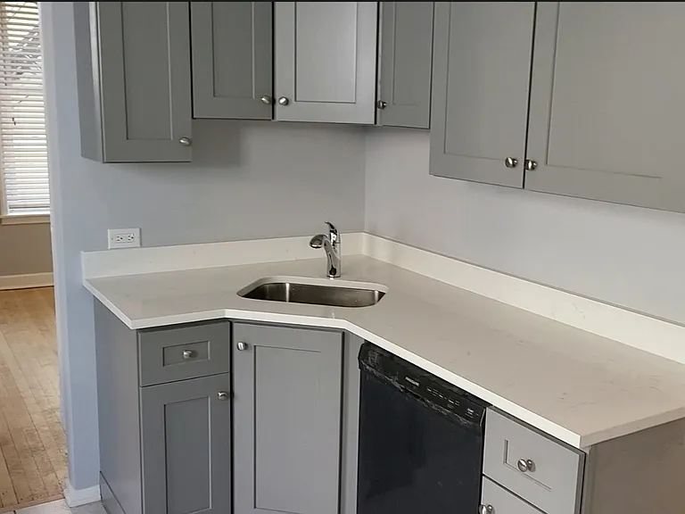 1025 W Cullerton St #2R — Photo 3