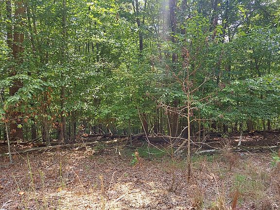 4th image of LOT 887 Stoneway Pl