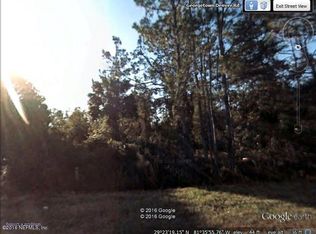 361 Georgetown Denver Rd, Georgetown, FL 32139