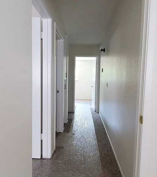 812 Emerald Ct — Photo 22