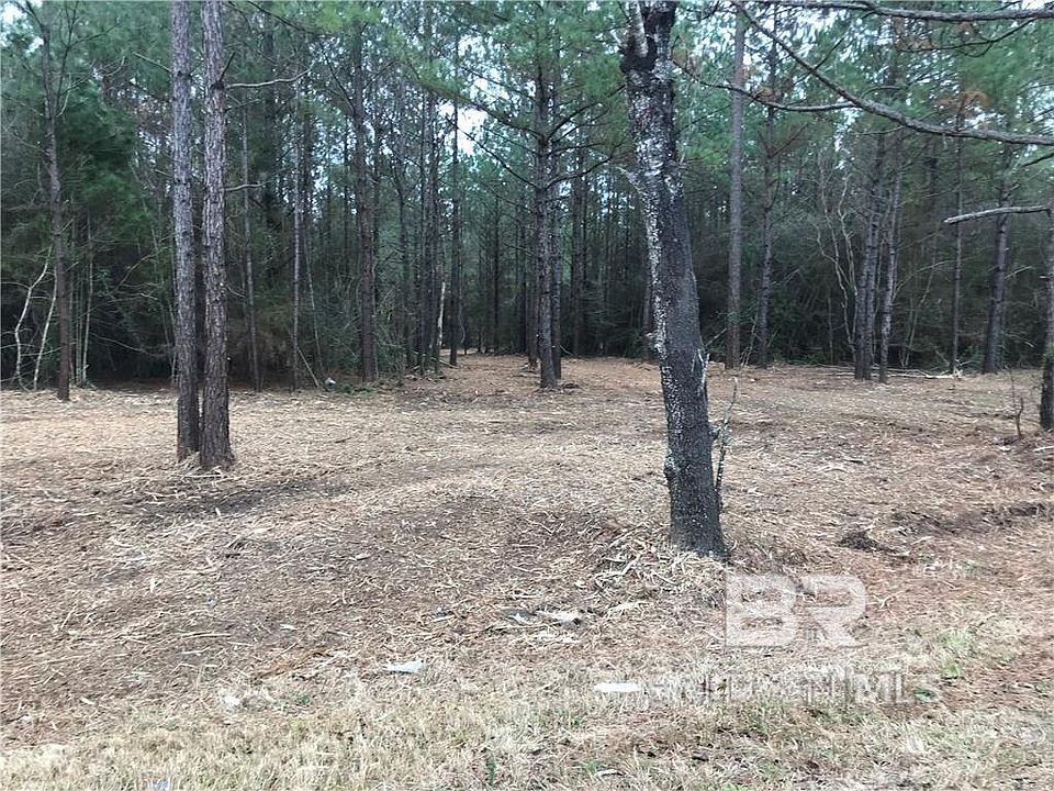 2nd image of 0 Wilmer Georgetown Rd Unit 17