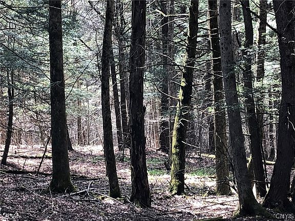 5th image of 608 Pendell Hill Rd