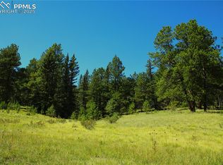 6500 County Road 5, Divide, CO 80814