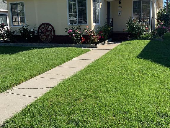 Front of the house