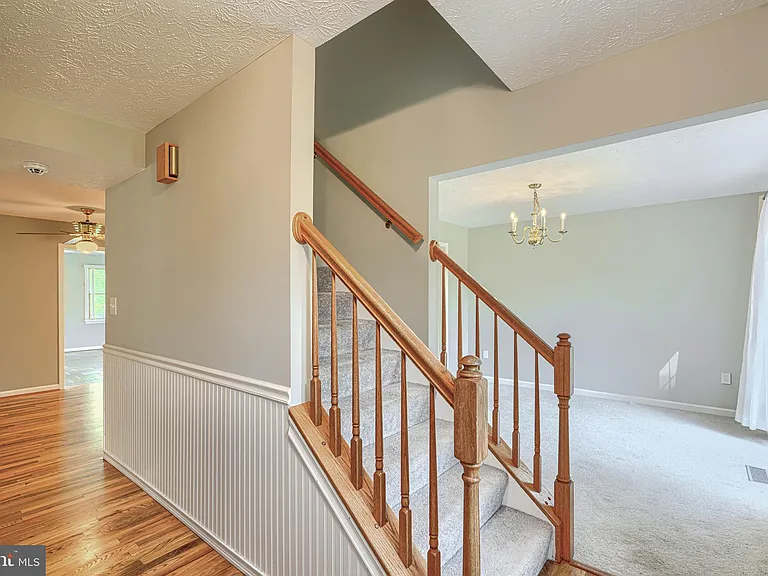 8301 Whitebark Ct — Photo 18