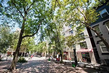 Rented by Bold New York