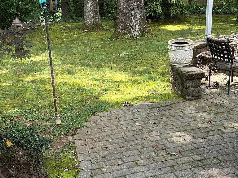 2931 Greenbrook Way — Photo 18