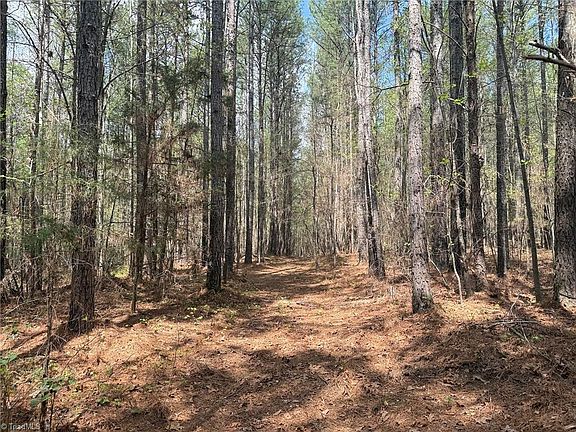 3rd image of LOT 7 Thompson Rd