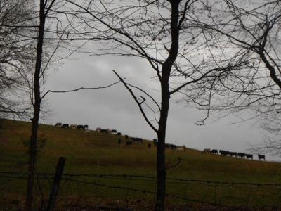 284 Turney Rd, Auburntown, TN, 37016