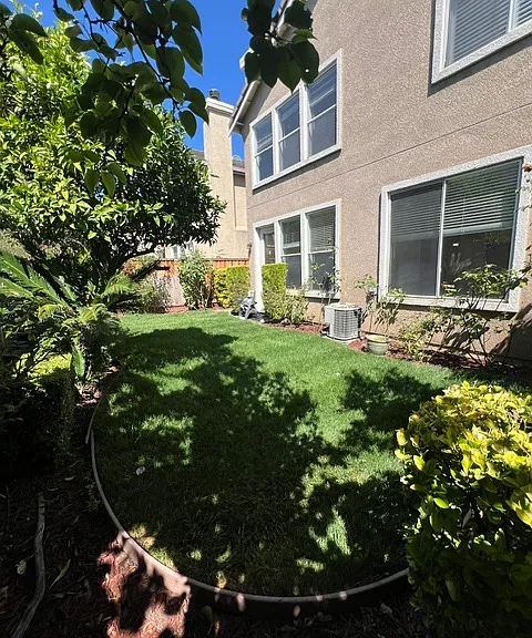 1073 McKay Dr — Photo 21