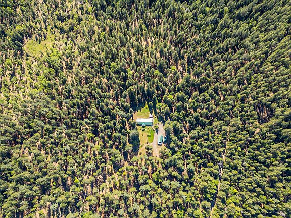 4th image of 30481 Rl Smith Logging Rd