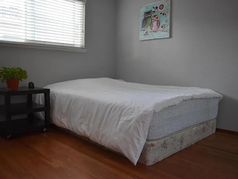 Palmetto Dr — Photo 5