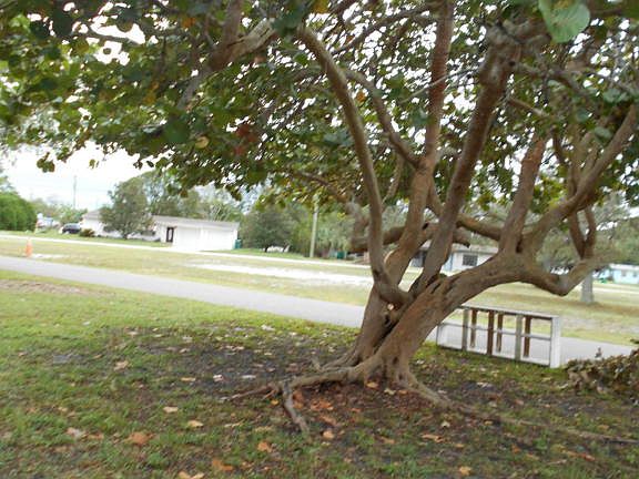 5th image of 453 Bluff Dr