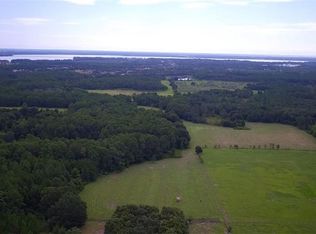 26010 Bloomfield Ave, Yalaha, FL 34797