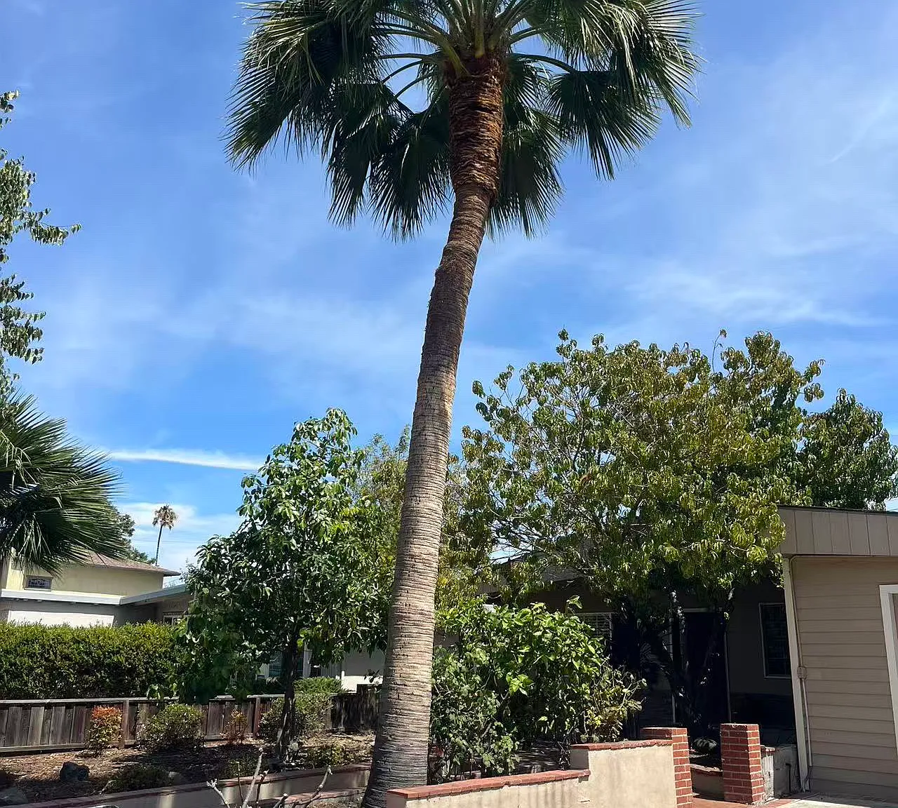 4 bed, 1600 sqft, $4,750 — Photo 2