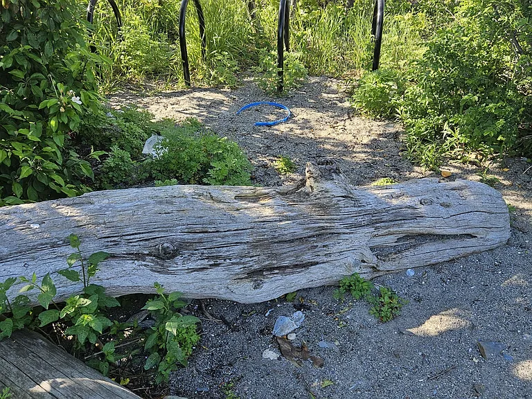 Trundy Rd — Photo 15