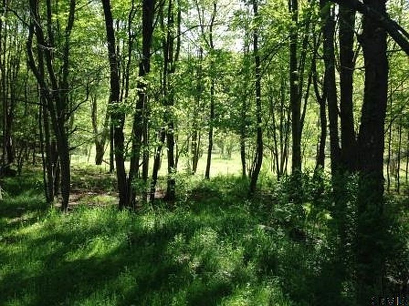 3rd image of 438 AUSTIN Road