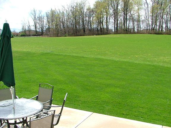 Back Yard Opens To Green Space and Adjacent To Community Poo