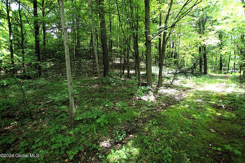 5th image of 544 Rector Road