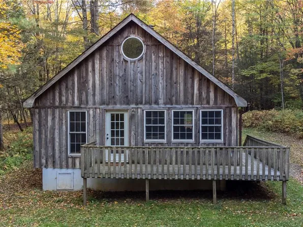 302 Mink Brook Road, Downsville, NY 13755