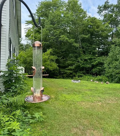 8 Black Point Rd — Photo 56