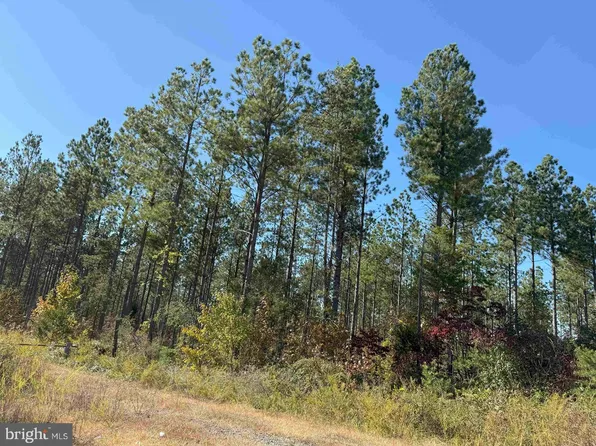 State Route 47 Tract Rogers #5, Charlotte Court House, VA 23923