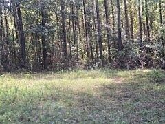 5th image of 0 Dk Jones Rd