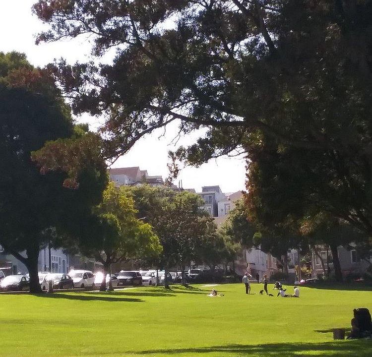 Precita Park - a neighborhood gem
