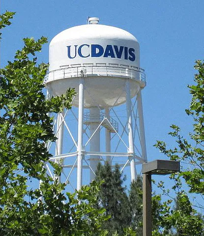 Davinci Apartments — Photo 4