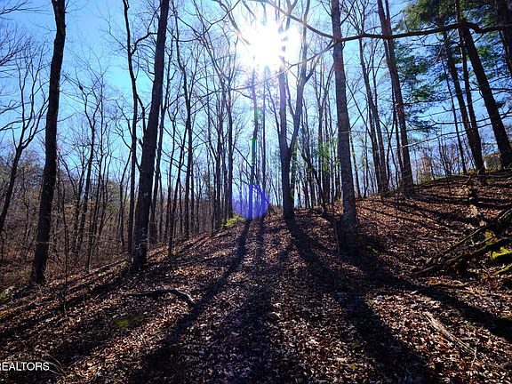 4th image of 3212 Long Hollow Rd