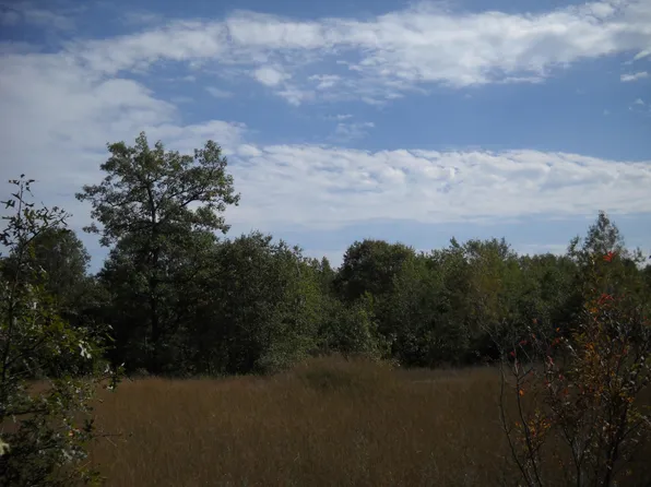 0 Timber Trail Ct, Lewiston, MI 49756