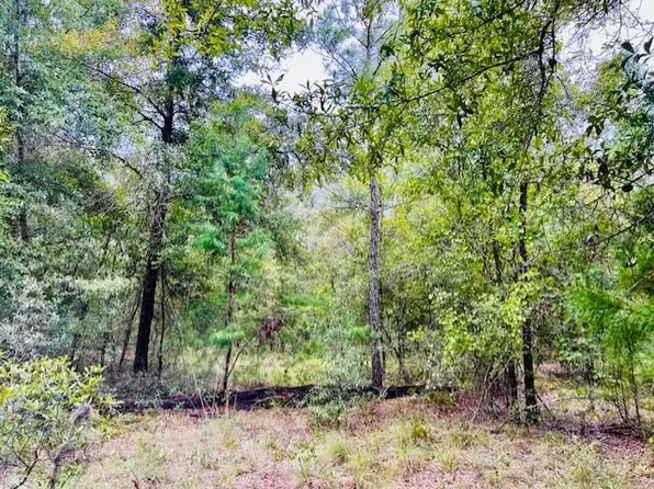 NW 98th Ln, Branford, FL 32008