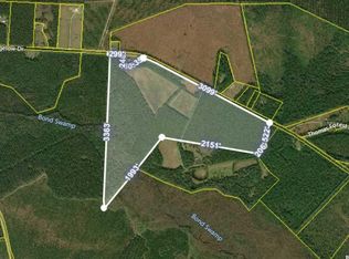 Bigelow Dr, Andrews, SC 29510