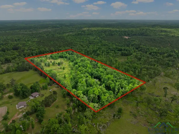 County Road 2918, Hughes Springs, TX 75656