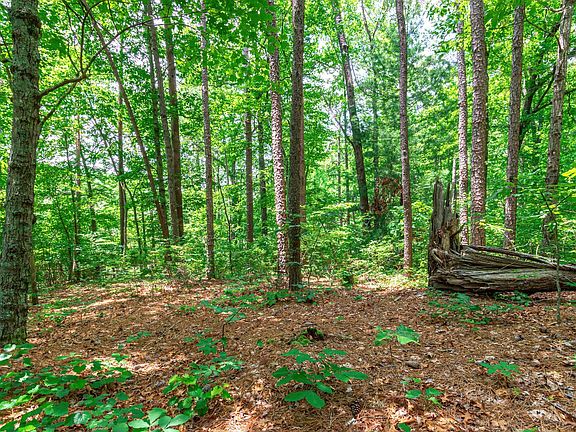 5th image of 1.06 Mountain Creek Hollow Dr