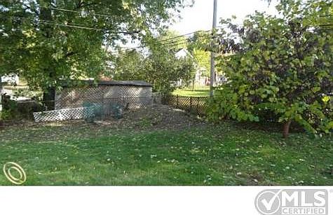 Backyard.JPG