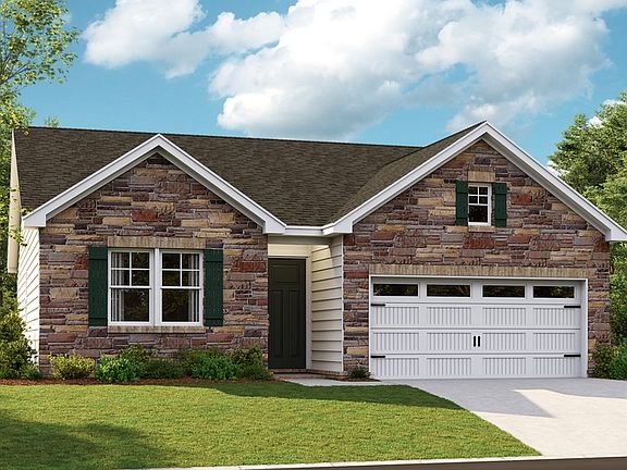 The Noble Elevation D