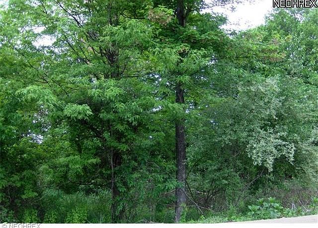 2nd image of 1099 Countryside Dr NW