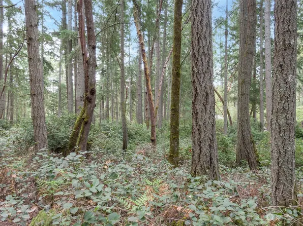 7126 80th Street NW, Gig Harbor, WA 98335