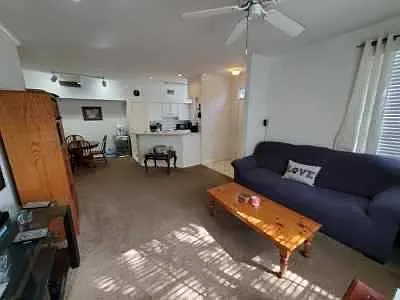 9080 Lake Chase Island Way — Photo 4
