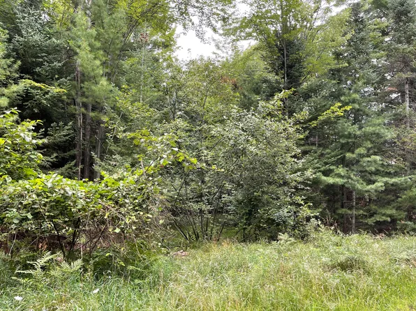 Nestle Rd, Prudenville, MI 48651