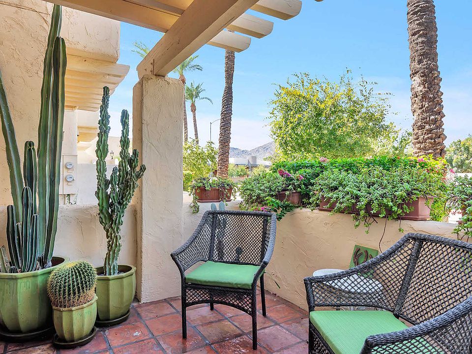 Front patio w Camelback vw