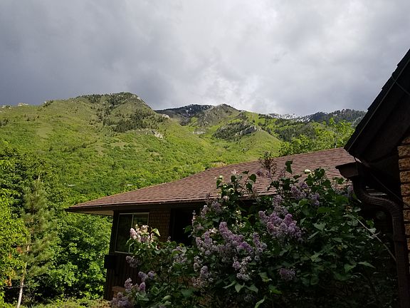 View from front porch
