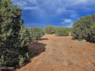 2233 Christopher Trl, Show Low, AZ 85901