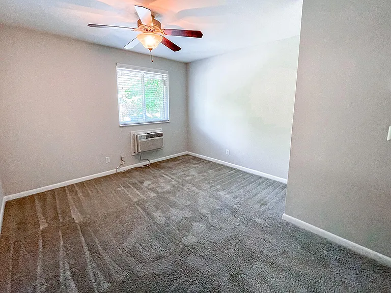 PLUSH CARPETING