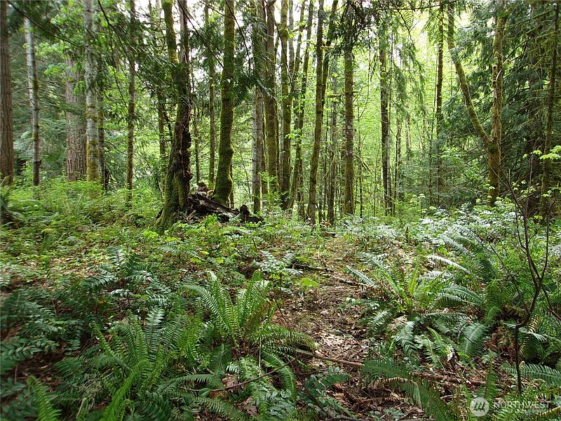 4th image of 0 River Road