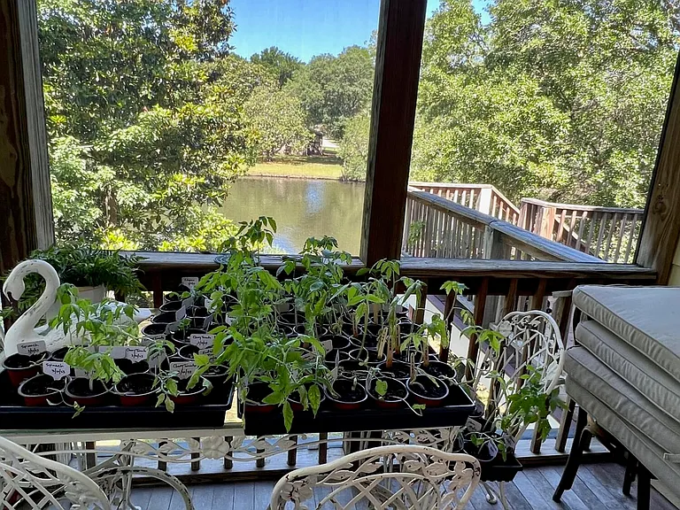 929 Misty Lake Dr — Photo 13