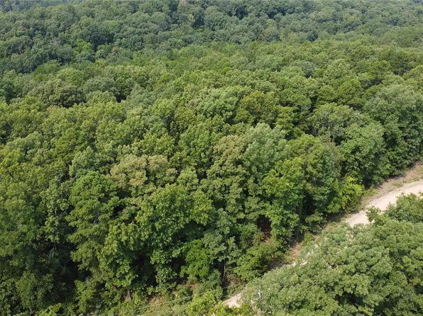 0 Pine Lake Rd, Potosi, MO 63664