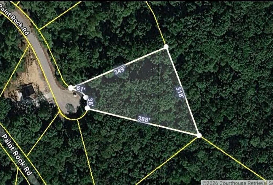 1st image of Evergreen Cv