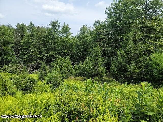 2nd image of Hermit Thrush Rd